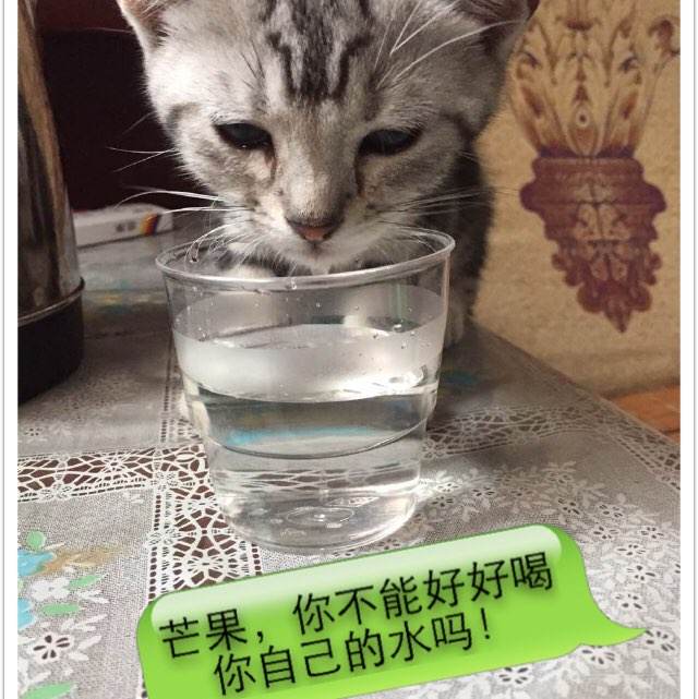 济南办理不动产证需要哪些资料